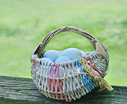 Kats egg basket