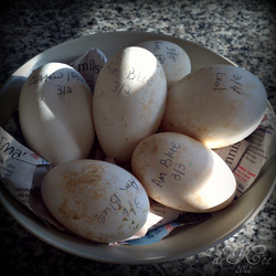 American Goose Eggs