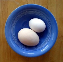Muscovy egg next to chicken egg